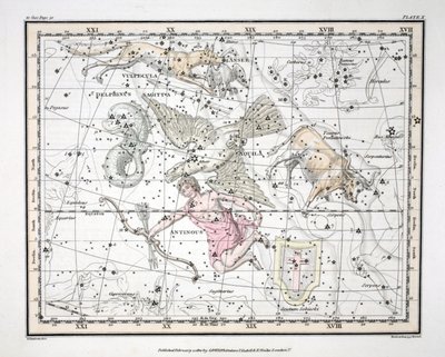 The Constellations (Plate X) Aquila et Antinous, Scutum Sobieski, Taurus Poniatowski, Sagitta, Valpecula et Anser, and Delphinus, from 